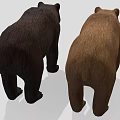 Two Brown and Black Bears Standing with Open Mouths on Gray Background 3d model