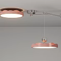 Stylish Modern Ceiling Light With Pink Petal Design And Metal Frame For Home Interior Decor