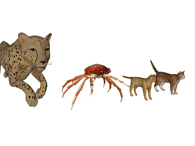 Reptile Lizard Cheetah Crab And Two Cats In Natural Wildlife Scene 3d model