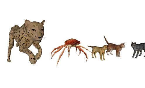 modern animal 3d model