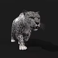 Realistic Snow Leopard 3D Model With Leopard Print In Standing Pose On Black Background 3d model