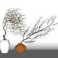 Bonsai Plants in White and Orange Ceramic Vases with Slender Bare Branches for Minimalist Decor