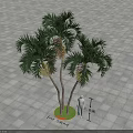 Three Palm Trees With Slender Trunks Lush Fronds In Circular Green Planter On Gray Pavement