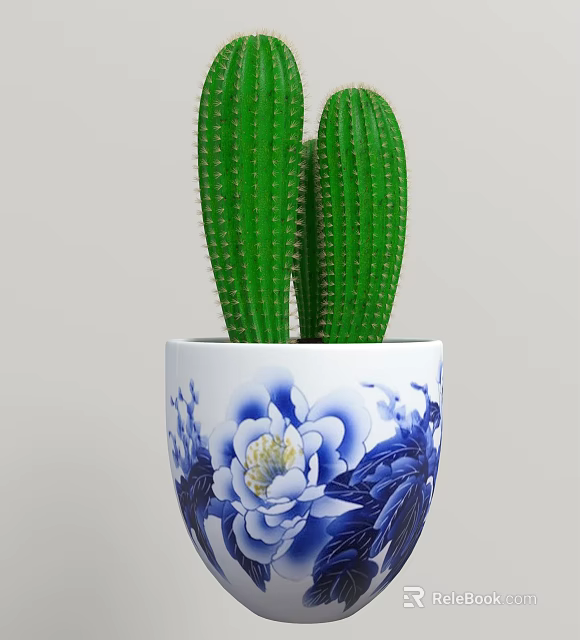 White Vase With Blue Floral Pattern Containing Green Cactus Plants 3d model 