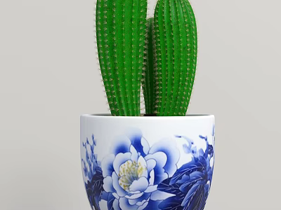 White Vase With Blue Floral Pattern Containing Green Cactus Plants 3d model