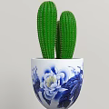 White Vase With Blue Floral Pattern Containing Green Cactus Plants