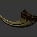 Unique Crescent Shaped Yellow And Brown Object With Natural Textured Surface And Curved Design