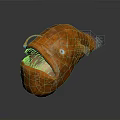 Orange Deep Sea Fish With Large Open Mouth Bioluminescent Lure White Fins And Bulbous Body