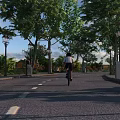 Scenic Road Facilities With Bicycle Lanes Street Lamps Trees And Lane Markings For Cyclists