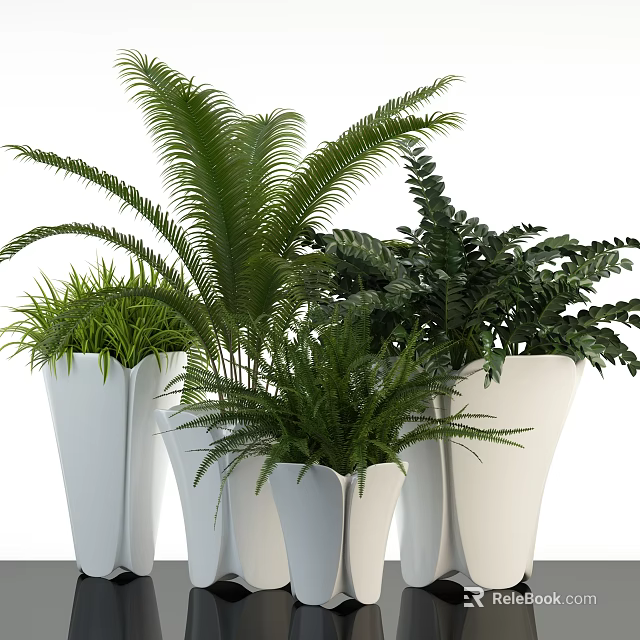 Indoor Potted Plants With Various Green Foliage In White Ceramic Pots 3d model 