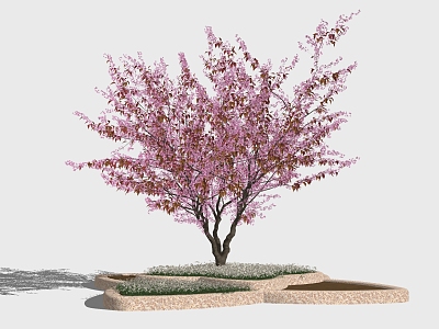 Modern Flower Tree model