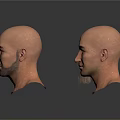 Male Bald Head 3D Models Displayed From Multiple Angles With Realistic Facial Features