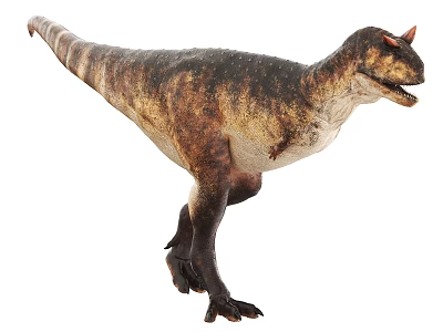 Realistic Brown And Beige Spotted Dinosaur Model With Horns And Open Mouth 3d model