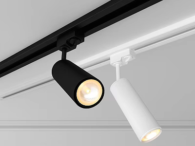 Modern Track Mounted Black And White Downlights And Spotlights For Interior Lighting 3d model