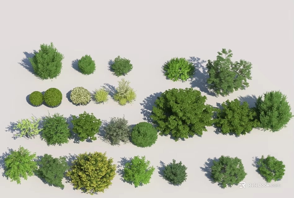 Various Types of Green Shrubs for Garden Landscaping and Outdoor Decoration 3d model 