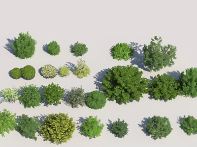 Various Types of Green Shrubs for Garden Landscaping and Outdoor Decoration 3d model