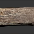 Natural Rustic Wooden Stump With Textured Surface And Small Middle Holes