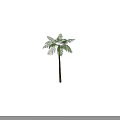 Lush Green Palm Tree With Tall Brown Trunk And Natural Fronds