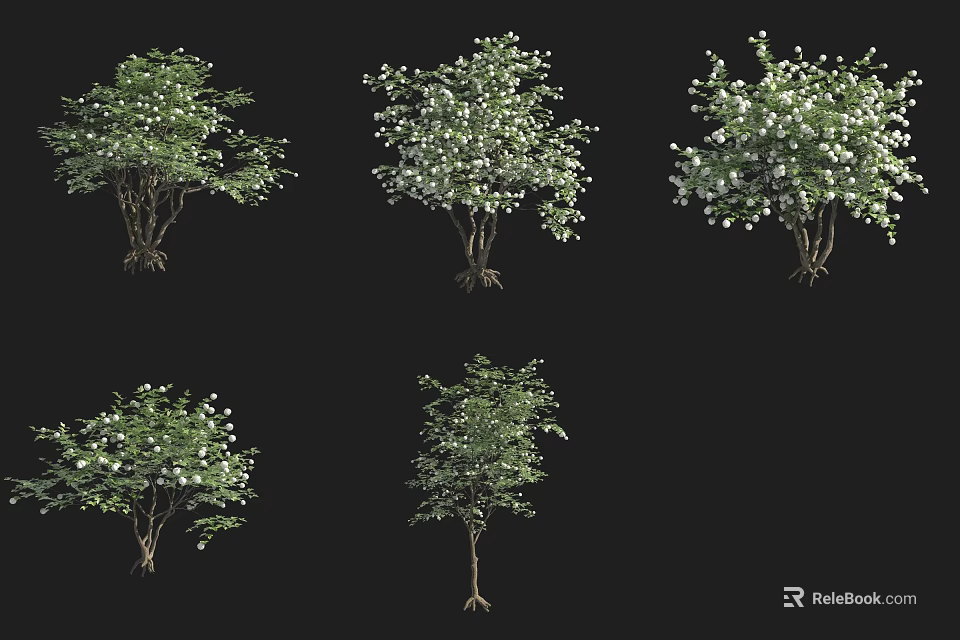 Various Ornamental Landscape Shrubs With White Flowers And Lush Green Foliage For Garden Design 3d model 