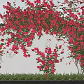 Lush Plant Combination Featuring Red Flowers Green Leaves and Grass at the Bottom