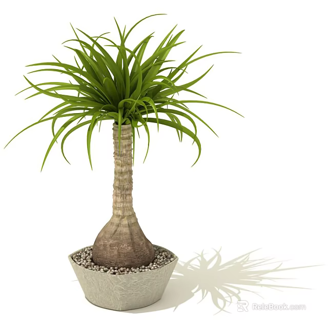 Bonsai Plant with Long Green Leaves and Bulbous Trunk in Gray Pot with Pebbles 3d model 