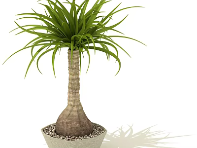 Bonsai Plant with Long Green Leaves and Bulbous Trunk in Gray Pot with Pebbles 3d model