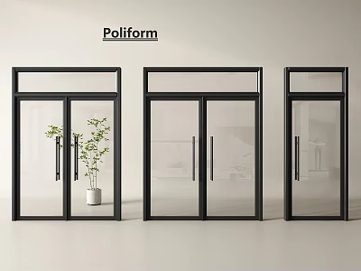Poliform Double Glass Doors with Black Frames and Indoor Plant Decor 3d model