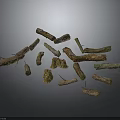 Natural Plant Branches Displayed with Various Shapes Different Sizes and Textures
