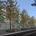 Municipal Road With Lined Trees Flower Beds And Sidewalks Along Residential Buildings