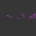 Three Plants With Purple Flowers And Slender Branches On White Background