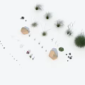 Different Types of Grasses and Small Plants Featuring Varied Heights and Foliage Shapes