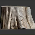 Natural Rustic Wooden Stump Decorative Piece With Authentic Wood Grain For Home Interior
