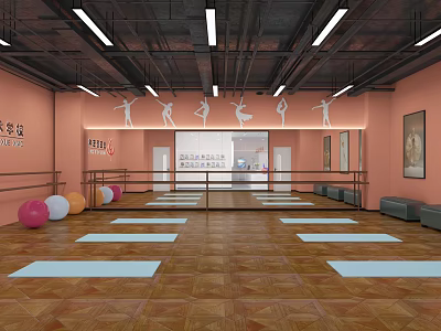Fitness Studio With Yoga Mats Fitness Balls Barres Mirrors And Dance Decor On Wooden Floor 3d model