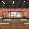 Fitness Studio With Yoga Mats Fitness Balls Barres Mirrors And Dance Decor On Wooden Floor