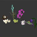 Cartoon Floral Scene With Colorful Flowers Including White Pink Yellow And Purple Blooms