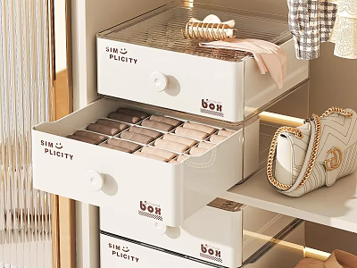Neatly Organized Wardrobe Interior With Sun Plety Labeled Drawers And Clothing Storage 3d model