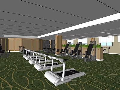 Fitness Gym Interior With Treadmills Seated Exercise Machines And Green Carpet 3d model
