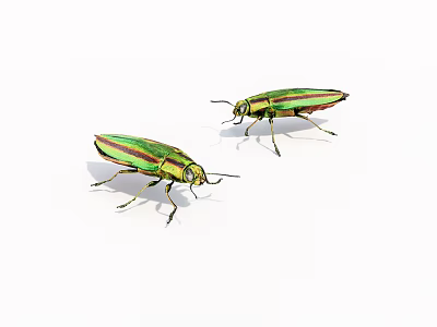 Colorful Green Striped Reptiles Two Lizards Showcasing Vibrant Scales And Patterns 3d model