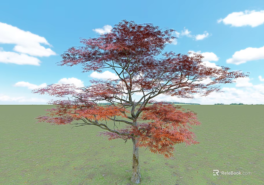 Arbor With Red Purple Leaves Against Blue Sky And White Clouds On Green Grassland 3d model 