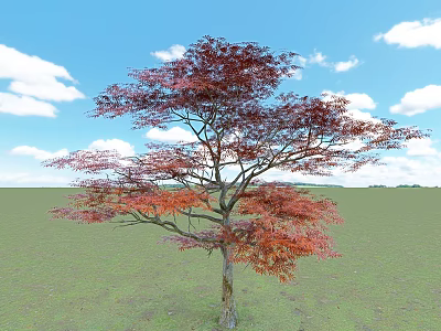 Arbor With Red Purple Leaves Against Blue Sky And White Clouds On Green Grassland 3d model