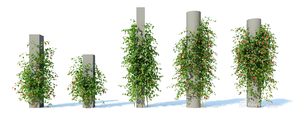 Vines Growing On Different Height Pillars With Green Leaves And Decorative Look 3d model 