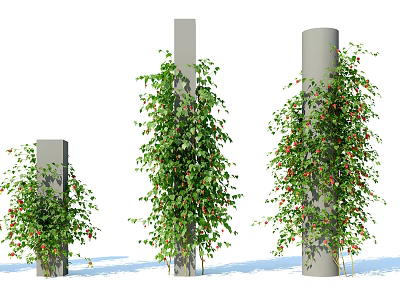 Vines Growing On Different Height Pillars With Green Leaves And Decorative Look 3d model