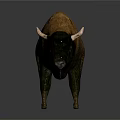 Realistic Standing Buffalo With Brown Fur And White Horns On Gray Background