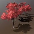 Three Red Leaf Trees Standing On Brown Ground With Gray Background 3d model