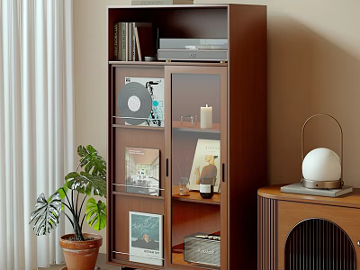 Decorative Cabinet With Glass Doors Displaying Vinyl Records Books Decor Items Candles Near Green Plant 3d model