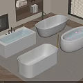 Modern Bathroom With Different Style White Bathtubs And Flower Petals Fireplace Bookshelf Window