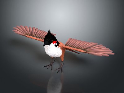 Modern sparrow birds 3d model