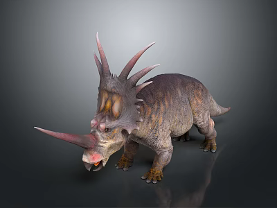 Realistic Triceratops Dinosaur With Multiple Horns Cranial Frill And Textured Skin Standing On Gray Background 3d model