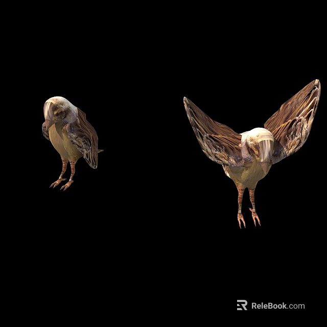 Two Flying Eagles Standing And Spreading Wings On Black Background With Brown Feathers Sharp Claws 3d model 