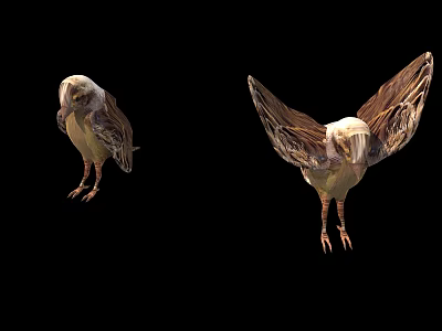 Two Flying Eagles Standing And Spreading Wings On Black Background With Brown Feathers Sharp Claws 3d model